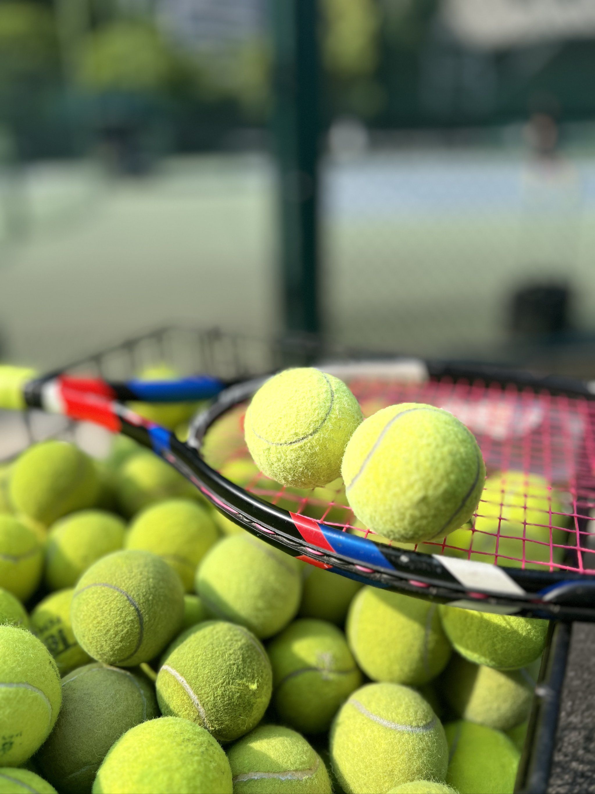 每位选手的 每位选手的